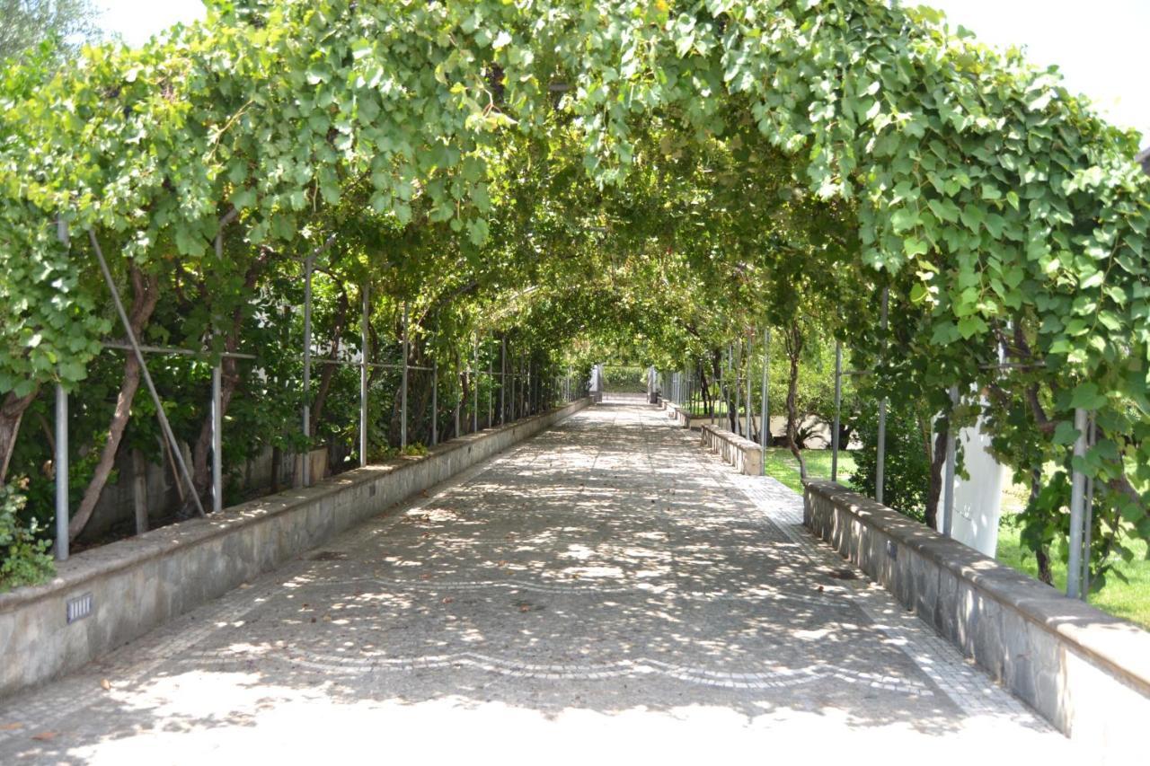 Вилла I Giardini Del Vesuvio Сомма-Везувиана Экстерьер фото